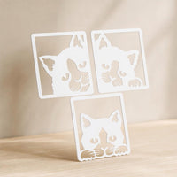 Triptico Gatitos Curiosos — Blanco