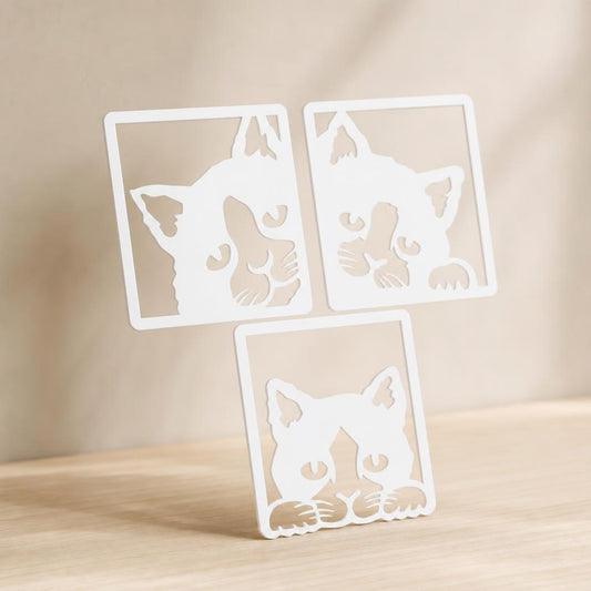 Triptico Gatitos Curiosos — Blanco